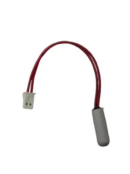 WhatsApp Image 2025-08-21 at 9.36.44 AM.webp