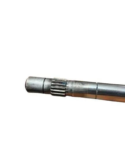 WhatsApp Image 2025-08-21 at 2.41.34 PM.webp