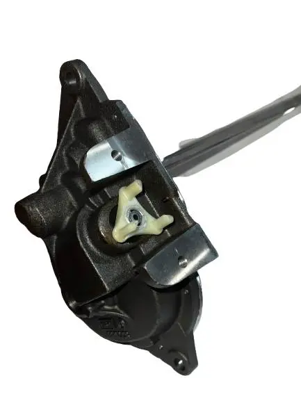 WhatsApp Image 2025-08-23 at 9.44.24 AM.webp