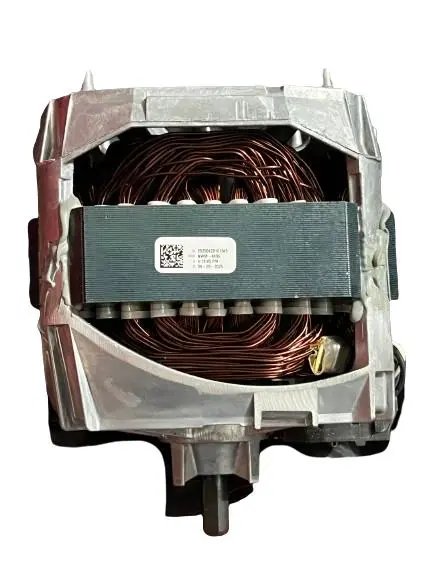 WhatsApp Image 2025-08-23 at 10.27.13 AM.webp