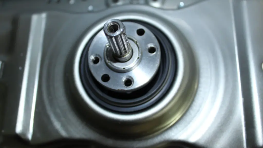 WhatsApp Image 2025-09-01 at 9.45.37 AM.webp