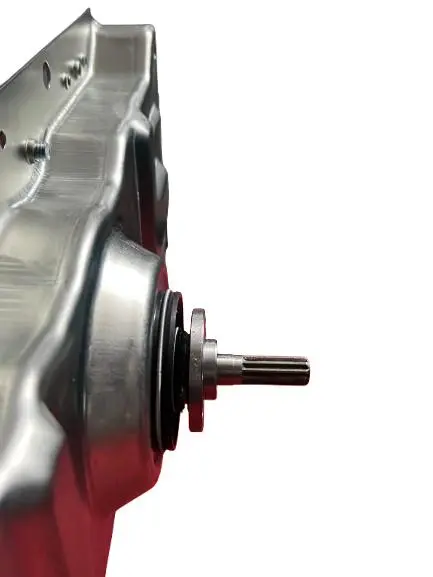 WhatsApp Image 2025-09-04 at 12.00.28 PM.webp