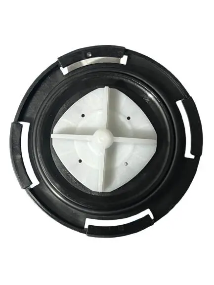 WhatsApp Image 2025-09-04 at 12.12.49 PM.webp