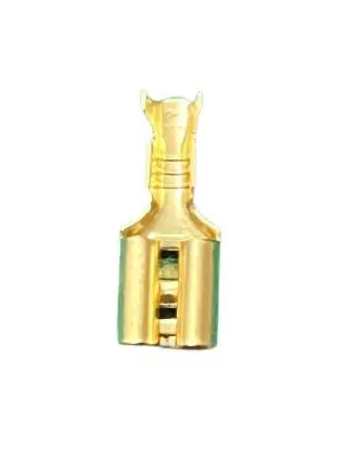 WhatsApp Image 2025-09-04 at 12.37.24 PM.webp