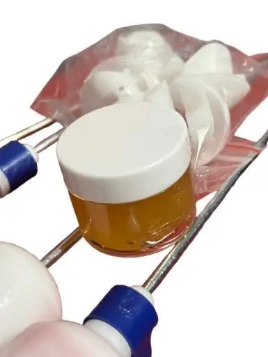 WhatsApp Image 2025-09-05 at 9.25.56 AM.webp