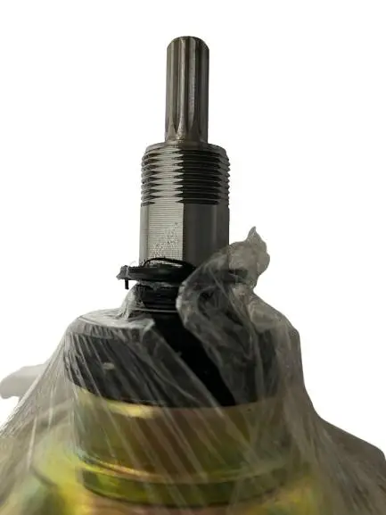 WhatsApp Image 2025-09-05 at 11.14.52 AM.webp