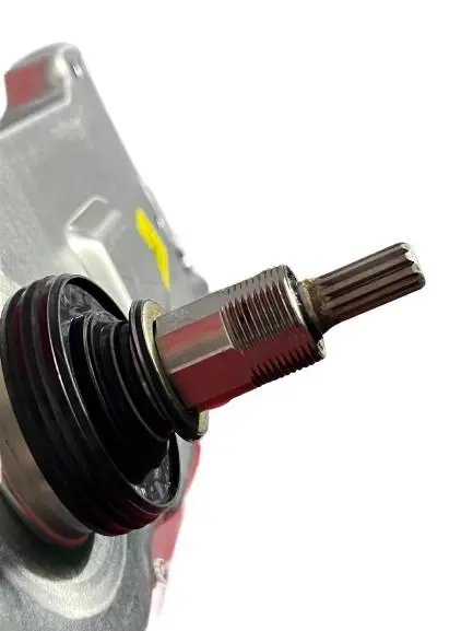 WhatsApp Image 2025-09-05 at 11.24.34 AM.webp