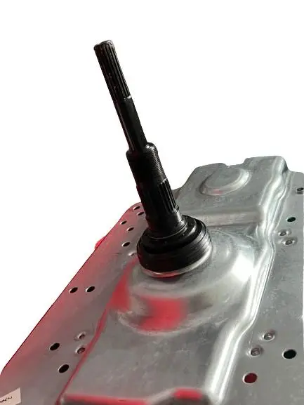 WhatsApp Image 2025-09-05 at 11.36.34 AM.webp