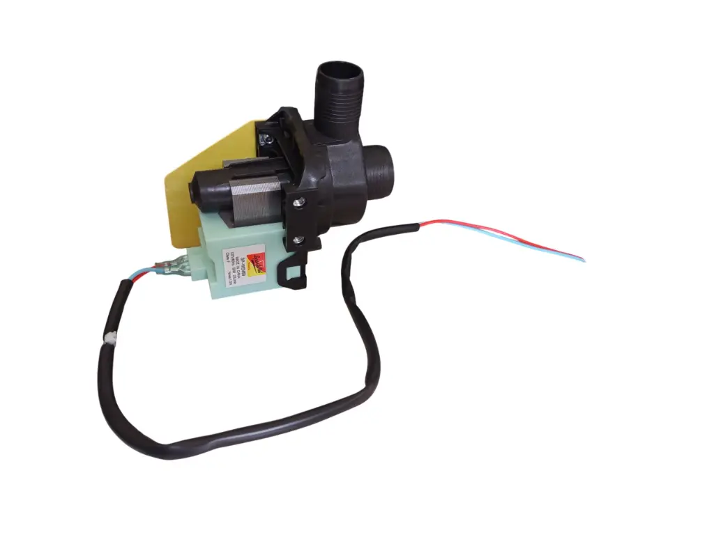 WhatsApp Image 2025-09-25 at 1.46.51 PM.webp