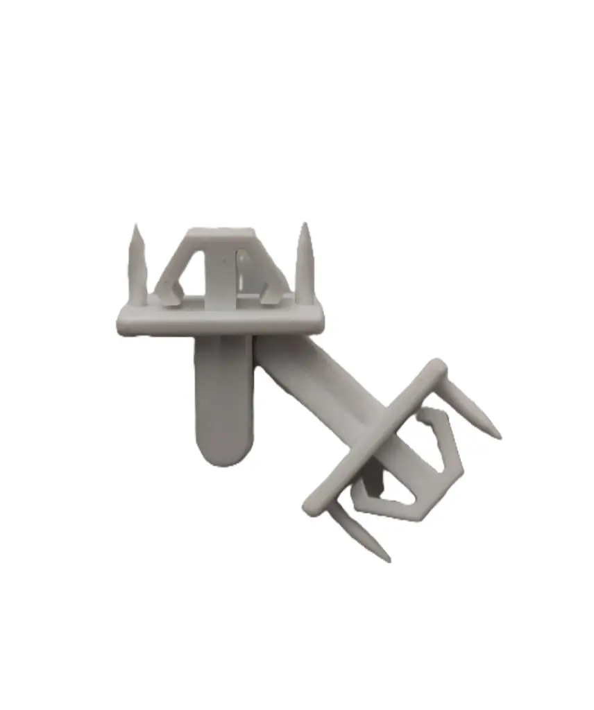 WhatsApp Image 2025-10-29 at 9.35.53 AM.webp