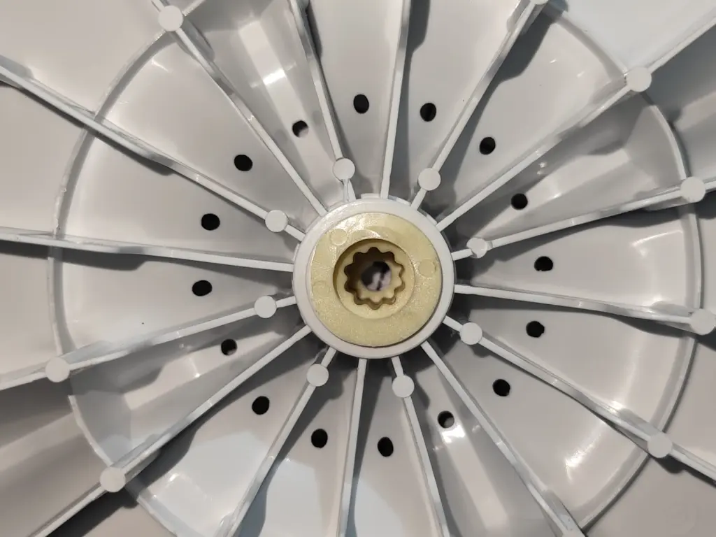 WhatsApp Image 2025-11-06 at 7.41.58 AM.webp