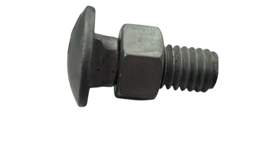 WhatsApp Image 2025-11-13 at 7.59.32 AM-Photoroom.webp