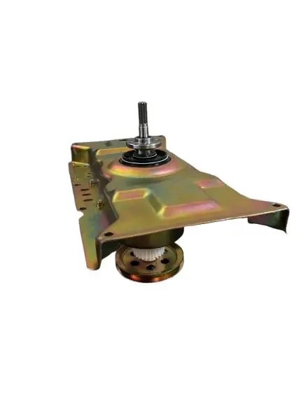 WhatsApp Image 2025-08-15 at 12.58.19 PM.webp