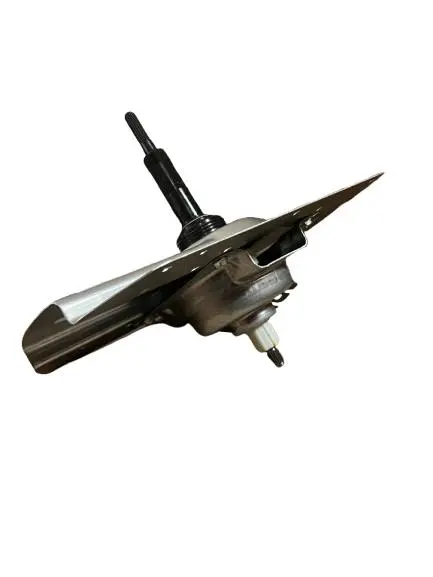 WhatsApp Image 2025-08-15 at 2.49.37 PM.webp